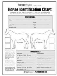 Pin By Bri Tarbell On Lessons Horses Horse Training