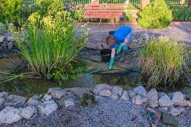 Fall Pond Maintenance Tasks