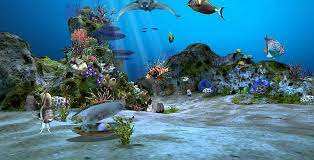 3d aquarium live hd wallpaper