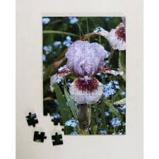 iris 221 piece wooden jigsaw british