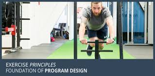 exercise principles certified fitness