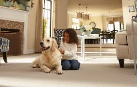 kande carpet cleaning about us