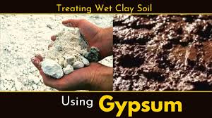 gypsum to improve water absorption