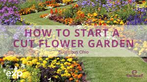 Cut Flower Garden In Columbus Ohio