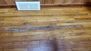 termite damage on hardwood floor