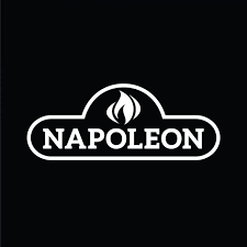 Napoleon Efcp Pf0 Efire Blue Tooth Advanced For Bl42 And Bl56 Fireplaces Propane