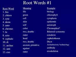 root words 1 powerpoint presentation