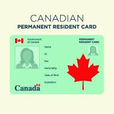 If your permanent resident card (pr card) is expired or will expire in less than 9 months, you can apply for a new card. Permanent Residency Card Expiration Matthew Jeffery