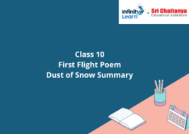 first flight poem dust of snow summary