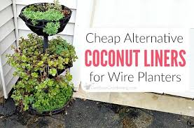 coconut liners for hanging baskets