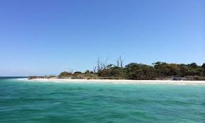 Petersburg area and a florida state park. Egmont Key A Pristine Paradise Visit St Petersburg Clearwater Florida