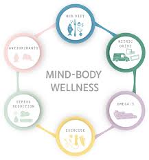 mind body wellness program benefits