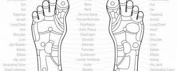 Free Reflexology Charts Points For Specific Ailments
