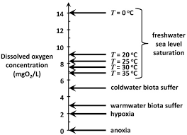 Global Warming On Dissolved Oxygen