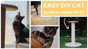 easy diy cat scratcher post plus must