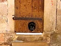 Oldest Cat Door On Earth