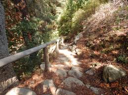 trail to redwood forest santa barbara