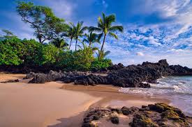 book your hawaii stay stay aloha