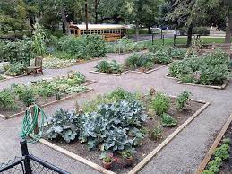 About Denver Urban Gardens Community