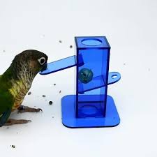 bird foraging toy clear acrylic box