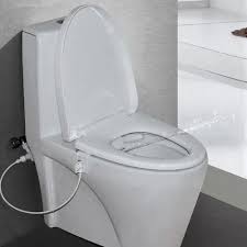Toilet Bidet Flushing Device Water