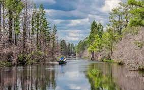 okefenokee sw a nature filled day