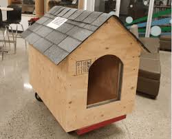 Building Dog Houses Everylivingthing