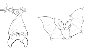 And you can freely use images for your personal blog! Cute Bat Coloring Pages Coloringbay