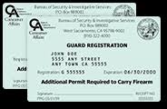 professional security guard training