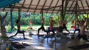 8 best yoga teacher training in costa