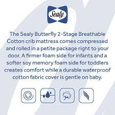 sealy erfly 2 se cotton crib and