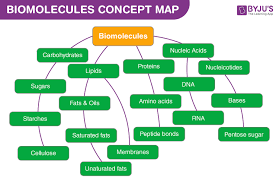 biomolecules concept map understand