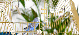 omlet fr images cache 1107 503 geo bird cage f