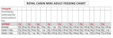 Royal Canin Mini Adult 8 Kg Dog Food At Lowest Price In India