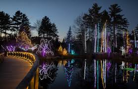 gardens aglow display sees steady crowd