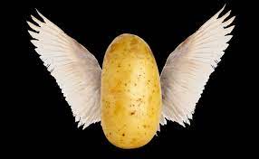 Select from a wide range of models, decals, meshes, plugins, or audio that help bring your imagination into reality. A Potato Flies Around The Room Modern Farmer
