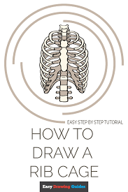 In this episode, i'll show you how to draw the forms of the rib cage step by step.giveaway! How To Draw A Rib Cage Really Easy Drawing Tutorial
