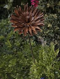 Rustic Aster Plant Stake Uk Garden