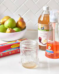 homemade fruit fly trap how to diy a