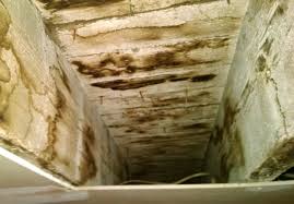 If the surface is too porous to remove mold completely, such as in ceiling tiles, you may have to replace it. 100 Pictures Of Mold In The Home