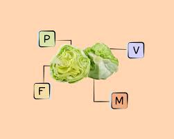 iceberg lettuce nutrients