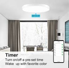 Smart Ceiling Light 15 7 Inch