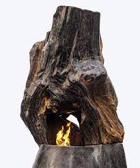 Petrified Wood Fireplace Designed