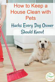 how to keep a house clean with pets