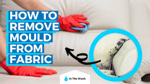 how to remove mould from fabric you