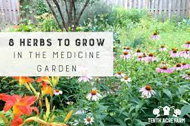 8 Herbs To Grow In The Medicine Garden
