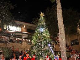 Christmas Island Style Tree Lighting In Veterans Park