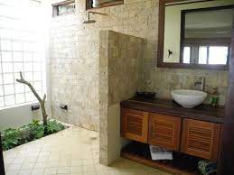 Doorless Shower Pros And Cons Of
