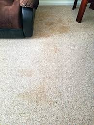 sunshine carpet cleaning reviews