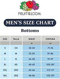 fruit of the loom men s active cotton
